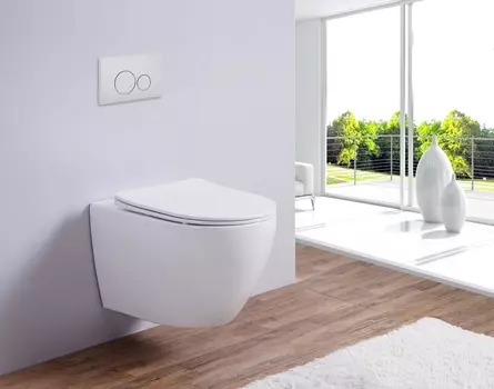 Подвесной унитаз Esbano Azalea (White) с микролифтом