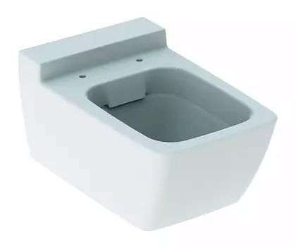 Подвесной унитаз Geberit 500.500.01.1