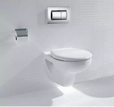 Подвесной унитаз Roca Victoria 734630300R