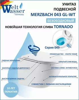 Подвесной унитаз WeltWasser WW MERZBACH 043 GL-WT безободковый, с сиденьем микролифт, белый глянцевый