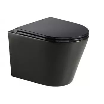 Подвесной унитаз WeltWasser WW SALZBACH 041 MT-BL 10000008258 черный матовый