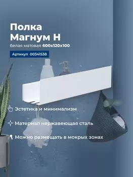 Полка Aquanet Магнум Н 60 см 00341538 белая матовая