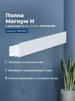 Полка с крючками Aquanet Магнум Н 70 см 00341540 белая матовая