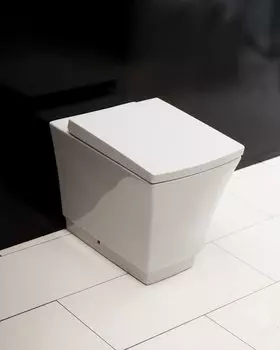 Приставной унитаз BelBagno Комплект 2в1 Regina P-trap BB104CP