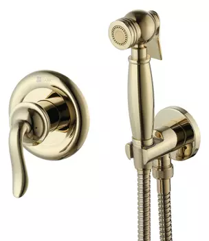 Гигиенический душ со смесителем Lemark Brava LM4719G золото