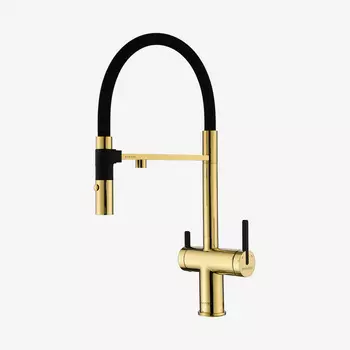 Смеситель для кухни Paulmark Gravity Gr213888-G золото