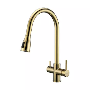 Смеситель для кухни Paulmark Lange La214212-G золото