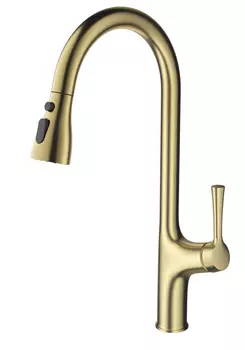 Смеситель для кухни WONZON & WOGHAND WW-AE54123-BG золото