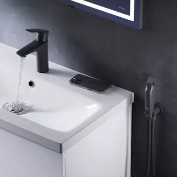 Смеситель для раковины Am.Pm Gem F90A03022 с гигиеническим душем черный