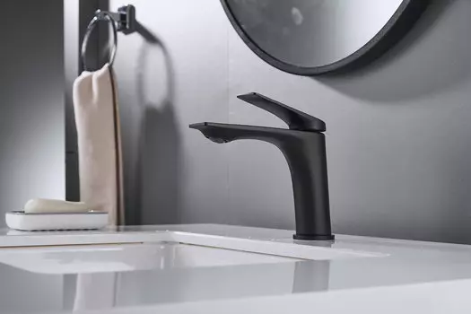 Смеситель для раковины Shevanik S9101H черный