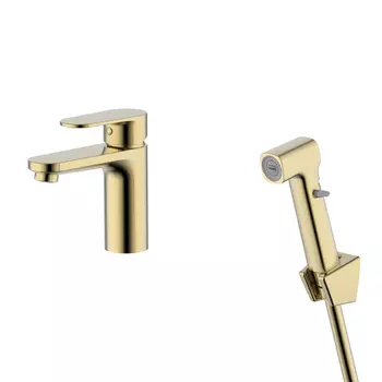 Смеситель для унитаза Aquatek Ника AQ1812BG с гигиеническим душем, шлифованное золото