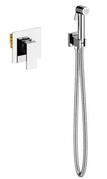 Смеситель встроенный с гигиеническим душем Timo Selene 2089/00SM