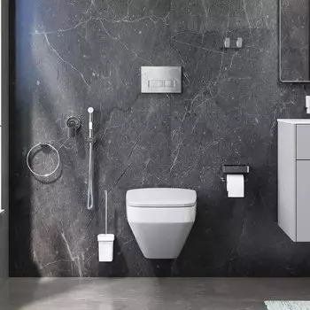 Унитаз Am.Pm CK50GD Inspire 2.0 комплект