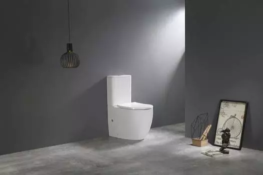 Унитаз-компакт CeramaLux TR2176 с сиденьем микролифт, белый