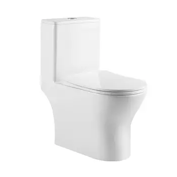 Унитаз-моноблок BelBagno Lounge BB8618CPR-MN/SC безободковый, с сиденьем микролифт, белый