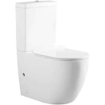 Унитаз напольный Aquanet Cetus-C с сиденьем микролифт, белый