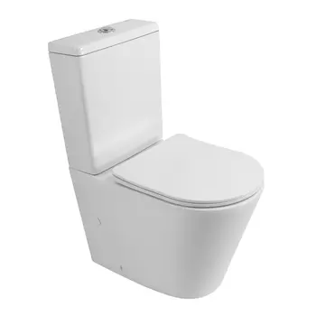 Унитаз напольный BelBagno Flay-r BB2149CPR/SC безободковый, с крышкой микролифт, белый