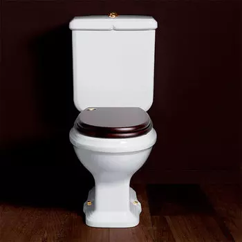 Унитаз напольный Simas Arcade AR831bi белый, кнопка золото, выпуск в стену