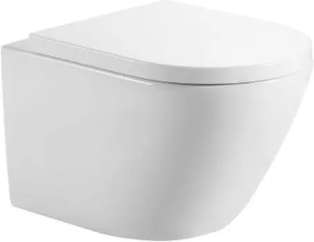 Унитаз подвесной Aquanet ZV-2 белый, с крышкой микролифт