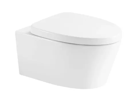 Унитаз подвесной Arrow AHB21002H безободковый, белый