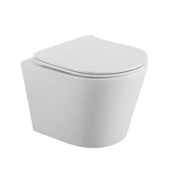 Унитаз подвесной BelBagno Flay-r BB053CHR/SC безободковый, с крышкой микролифт, белый