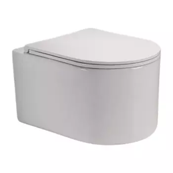 Унитаз подвесной Olive'S VORTEX VR30116DP белый, с крышкой микролифт