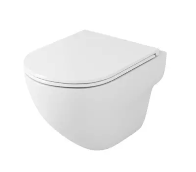 Унитаз подвесной OWL 1975 OWLT190801