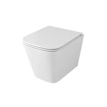 Унитаз подвесной OWL 1975 Vatter OWLT190403S с сиденьем микролифт