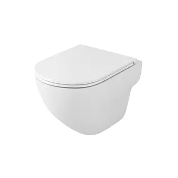 Унитаз подвесной OWL 1975 Wave TOWLT190801 с крышкой микролифт, белый