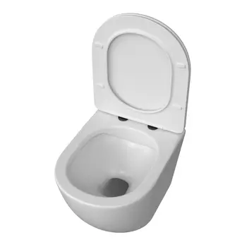 Унитаз подвесной Taliente Amato AM25010 Bianco opaco безободковый, матовый, с крышкой микролифт