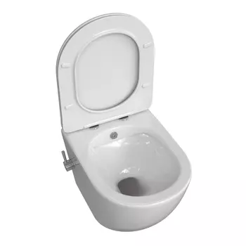 Унитаз с биде Taliente Amato AM25010+SMcromo с функцией биде, с крышкой микролифт