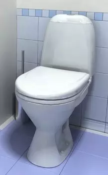 Унитаз напольный Santek Римини 1WH302130 с крышкой