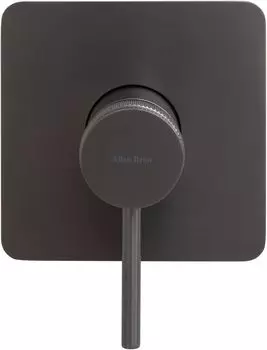 Встраиваемый смеситель для душа Allen Brau Priority 5.31012-MG с внутренней частью, серый