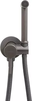Встраиваемый смеситель с гигиеническим душем Allen Brau Priority 5.31A29-MG с внутренней частью, серый