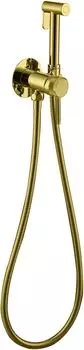 Встраиваемый смеситель с гигиеническим душем Allen Brau Priority 5.31A29-GB с внутренней частью, золото