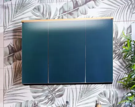 Зеркальный шкаф Бриклаер ФОРЕСТ 100