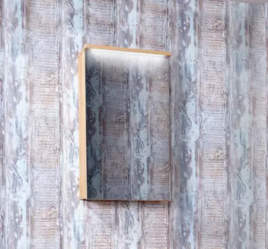 Зеркальный шкаф Бриклаер ФОРЕСТ 40