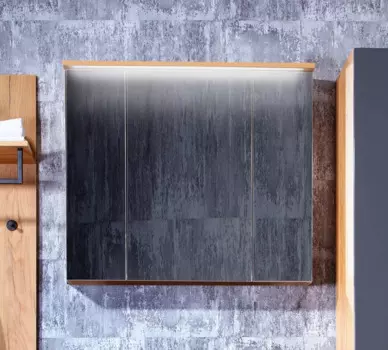 Зеркальный шкаф Бриклаер ФОРЕСТ 80