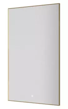 Зеркало с подсветкой Armadi Art Modern 60x100 569-G золото