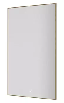 Зеркало с подсветкой Armadi Art Modern 60x100 569-MG золото матовое