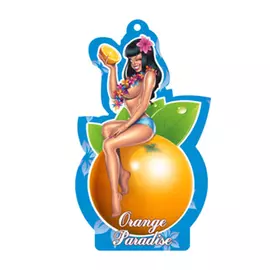 Ароматизатор AZARD Babies Orange Paradise