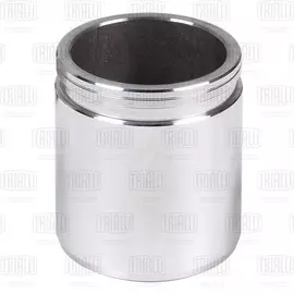 Поршень суппорта для а/м Газель Next (13-) переднего d-48мм (TRIALLI) RCF 012062