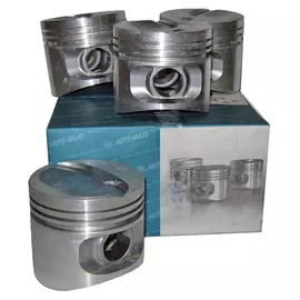 Поршни ВАЗ 21011, 2106 (79,0) (Автрамат) гр.Е