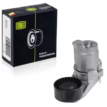 Ролик ремня приводов BMW X5 E70 (10-) 3.0i (с натяж. мех.) (TRIALLI)