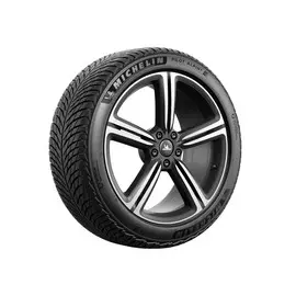 Шина зимняя MICHELIN PILOT ALPIN 5 305/30 R21 104V XL