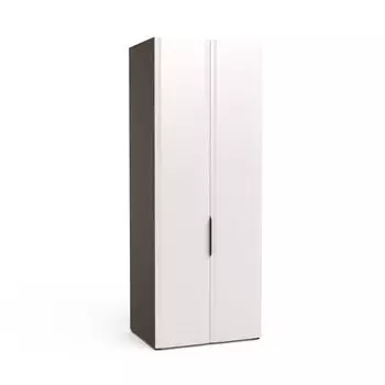 Двухдверный шкаф Turin TR2662.2