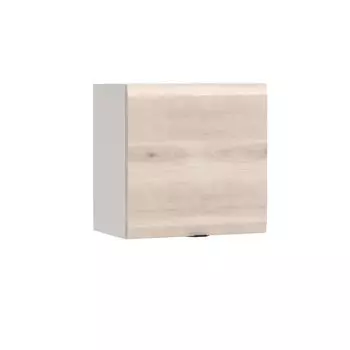 Навесной шкаф с распашной дверью Turin TR1142.1