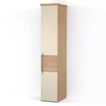 Однодверный шкаф ASTI AS1802.0