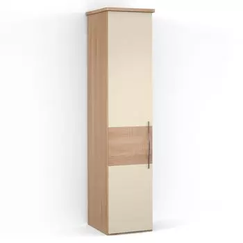 Однодверный шкаф ASTI AS1803.0