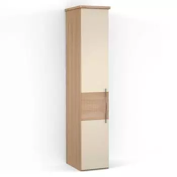 Однодверный шкаф ASTI AS1817.0